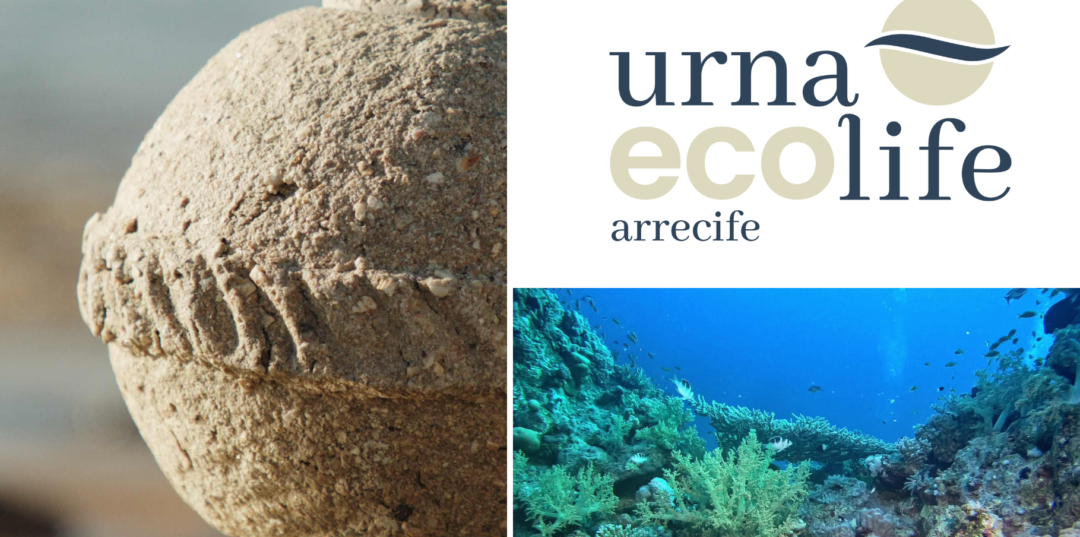 Esquelas.es | Ecolife: la nueva urna que se convierte en arrecife y potencia la vida marina