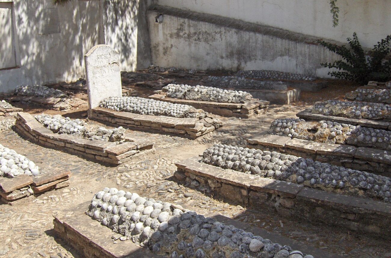 Esquelas.es | Voluntarios, universitarios y profesores limpian y documentan el cementerio ingls de Mlaga