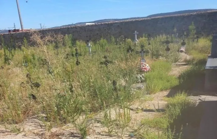 Esquelas.es | Denuncian una zona de hierbajos en el cementerio de Ciudad Rodrigo que impide el acceso a las tumbas