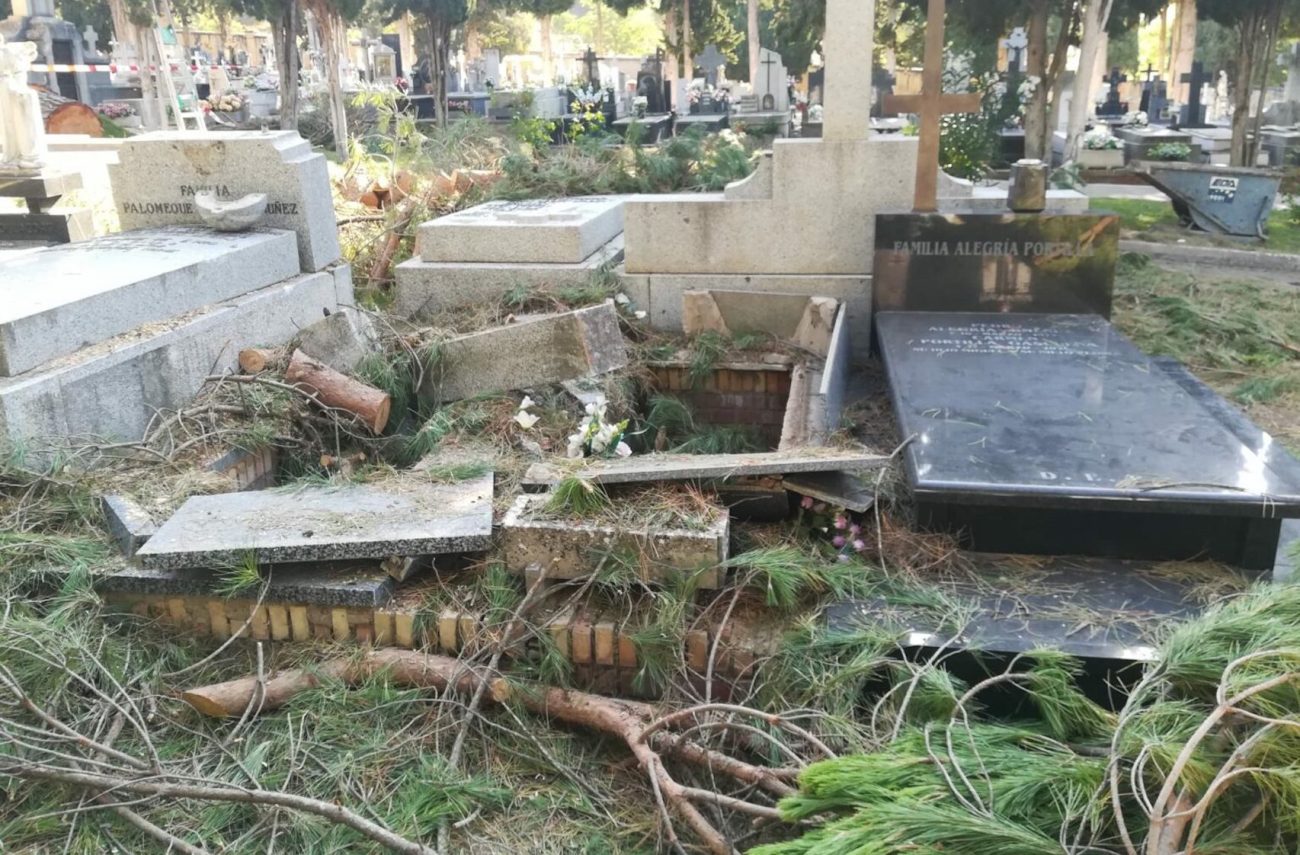 Esquelas.es | La cada de dos pinos sobre cinco tumbas del cementerio de Cuenca produce importantes destrozos