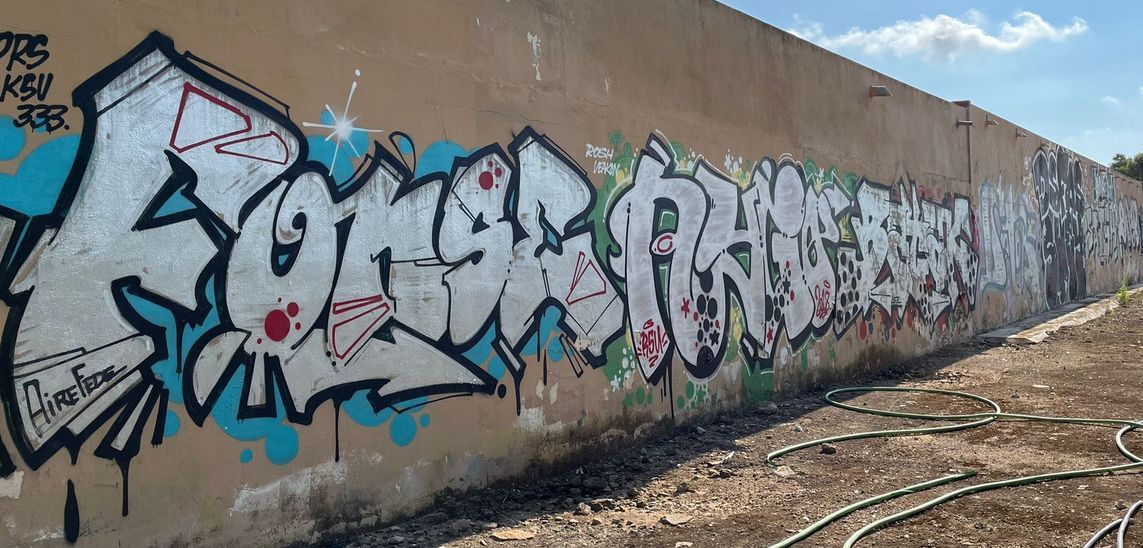Esquelas.es | Detenidos los grafiteros que pintaron el muro del cementerio de Torrellano acusados de un delito de daos