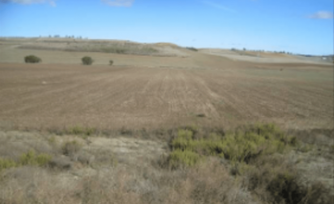 Esquelas.es | Ecologistas en Accin Valladolid interpone recurso de alzada contra la construccin de un tanatorio en Zaratn