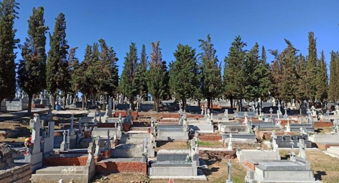 Esquelas.es | Recriminan al Ayuntamiento pagar 44.000? a una empresa externa para talar los rboles del cementerio