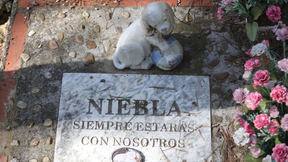 Esquelas.es | El PP de Melilla asegura que ?si gobernamos construiremos un cementerio con crematorio para animales