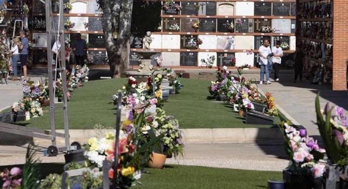 Esquelas.es | El cementerio de Jtiva asaltado por una plaga de conejos que se comen la hierba y las flores