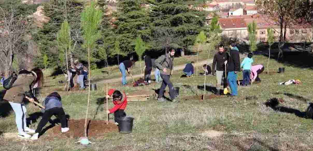 Esquelas.es | Plantan unos 200 rboles en el entorno del cementerio municipal de Segovia