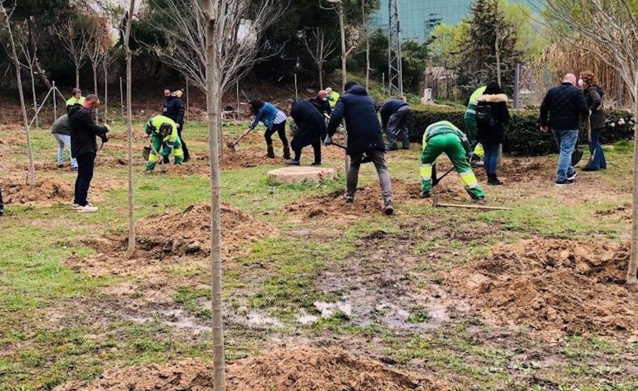 Esquelas.es | Parcesa apoya por tercer ao consecutivo la reforestacin del Arroyo de la Vega – El Juncal de Alcobendas