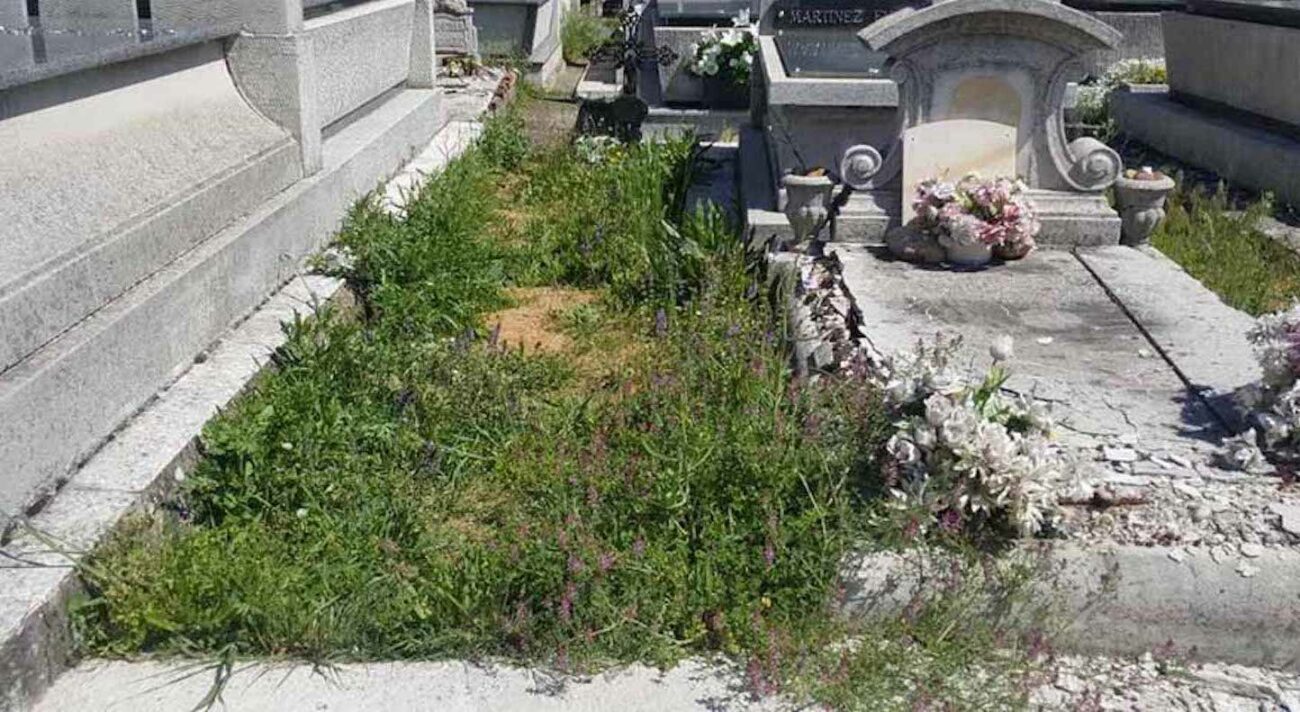 Esquelas.es | Un exdiputado ha anunciado que se encerrar en el cementerio de San Andrs si no lo arreglan