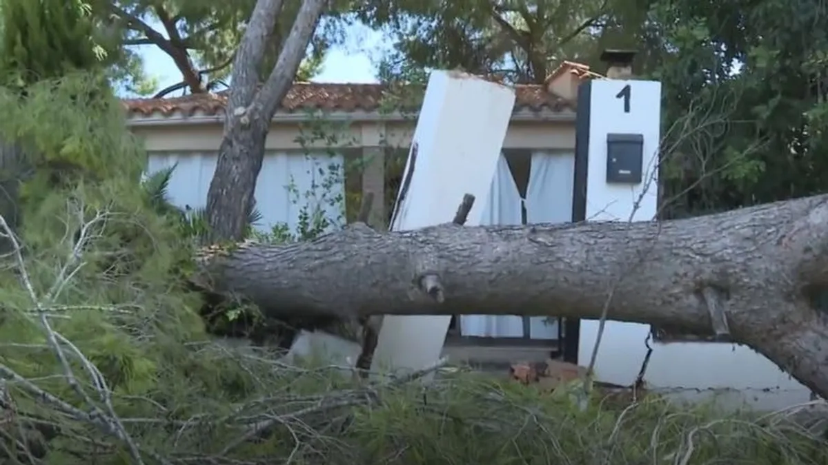 Esquelas.es | Grupo Catalana Occidente activa un dispositivo para los afectados por el temporal en las Islas Baleares