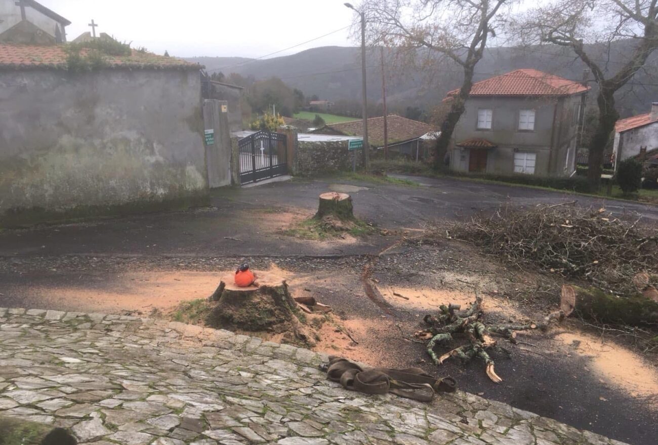 Esquelas.es | [BREVES] Tala de robles centenarios en el acceso al cementerio // Dos personas atrapadas en el camposanto de Lugo